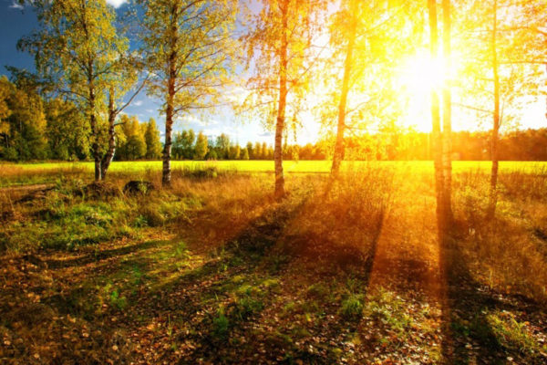 natur_ist_glucklich_1